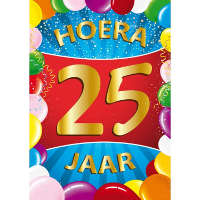 Verjaardag deurposter   25 jaar   multi   59 x 84 cm   leeftijd feestartikelen