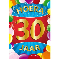 Verjaardag deurposter   30 jaar   multi   59 x 84 cm   leeftijd feestartikelen