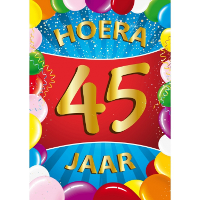Verjaardag deurposter   45 jaar   multi   59 x 84 cm   leeftijd feestartikelen