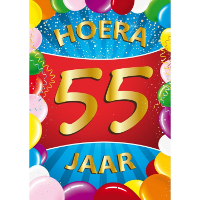 Verjaardag deurposter   55 jaar   multi   59 x 84 cm   leeftijd feestartikelen