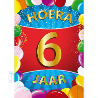 Verjaardag deurposter   6 jaar   multi   59 x 84 cm   leeftijd feestartikelen