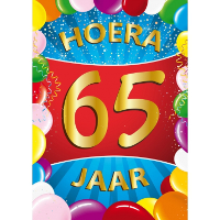 Verjaardag deurposter   65 jaar   multi   59 x 84 cm   leeftijd feestartikelen