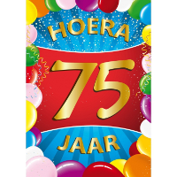Verjaardag deurposter   75 jaar   multi   59 x 84 cm   leeftijd feestartikelen