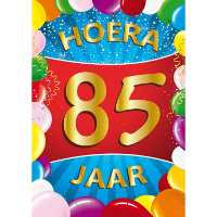 Verjaardag deurposter   85 jaar   multi   59 x 84 cm   leeftijd feestartikelen