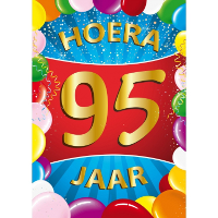 Verjaardag deurposter   95 jaar   multi   59 x 84 cm   leeftijd feestartikelen