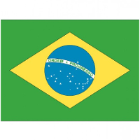 Vlag van Brazilie stickers   7 x 10 cm   Landen   Braziliaanse vlaggetjes