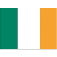 Vlag van Ierland stickers   7 x 10 cm   Landen   Ierse vlaggetjes