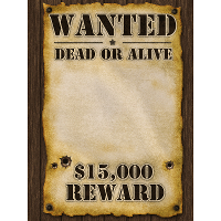 Wanted poster   59 x 42 cm   voor eigen foto   Western/cowboy thema versiering