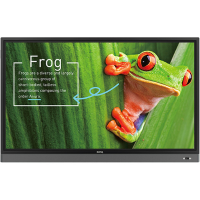 Interactive Flat Display RM7501K