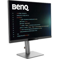 BenQ RD280UG Programming monitor led monitor