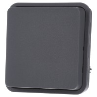 6130763545   Cover plate for switch/push button grey 6130763545