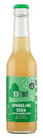 BioToday Sparkling Soda Appel Vlierbloesem