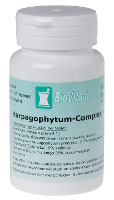 VeraSupplements Harpagophytum Complex Tabletten