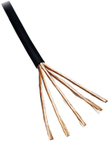 BKL Electronic 1106006/50 Audiokabel 2 x 0.1 Mm² Zwart 50 m