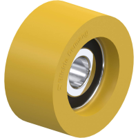 Blickle FTH 40x20/10 9K Geleidingsrol Wieldiameter: 40 mm Draagvermogen (max.): 50 Kg 1 stuk(s)