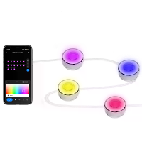 BlitzWill® BW SS1 Smart Outdoor Eaves Light 14.5M LED String Muzieksynchronisatie Werkt Met Alexa & Google Assistant Wat