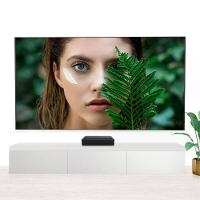 BlitzWolf® BW VS3 120 Inch ALR Zwart Projectiescherm 4K UHD Anti Lichtreflectie Ultra Smalle Frame Hoge Helderheid Compa