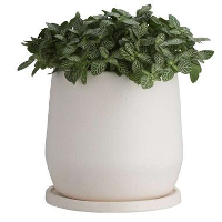 BLOEMPOT LARS WIT KERAMIEK 17XØ18CM   Leen Bakker