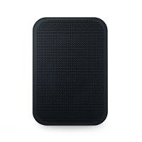 Bluesound: Pulse Flex 2i Draadloze Speaker   Zwart