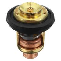 Boat Engine Thermostat 6E5 12411 02 6E5 12411 00 6E5 12411 10 For Yamaha