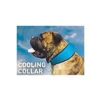 Bodycooler Pet Collar Voor De Hond Blauw