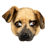 Bruine hond dieren verkleedmasker   pluche   volwassenen   Horror/halloween   carnaval   half gezich