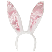 Bunny diadeem   grote oren   konijn   paashaas   pasen   konijnen oortjes