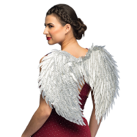 Carnaval/halloween verkleed engelen Glam vleugels   zilver   55 cm   dames