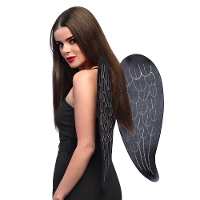 Carnaval/halloween verkleed engelen vleugels   zwart   65 cm   dames   Dark Angel