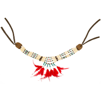 Carnaval/verkleed accessoires Indianen sieraden   kralen/veertjes ketting   kunststof