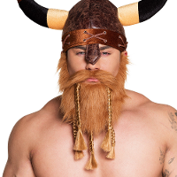 Carnaval verkleed baard   Viking/Krijger/Biker/Piraten baard   rood   met snor