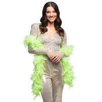 Carnaval verkleed boa met veren   neon groen   180 cm   50 gram   Glitter and Glamour