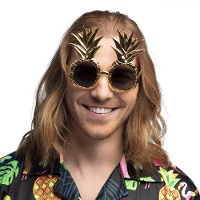 Carnaval/verkleed party bril Ananas   Tropisch/hawaii thema   goud   volwassenen