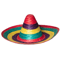 Carnaval verkleed Sombrero hoed Fiesta   multi kleur   volwassenen   polyester   Luxe uitvoering