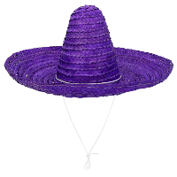 Carnaval verkleed Sombrero hoed Fiesta   paars   volwassenen   polyester   Luxe uitvoering