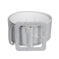 Carnaval verkleedkleding riem   glitter zilver  120 cm   Dames   brede riem
