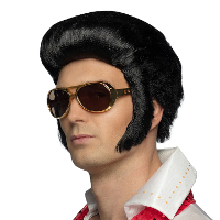 Elvis bril   goud   volwassenen   kunststof   zonnebril   carnaval   verkleden