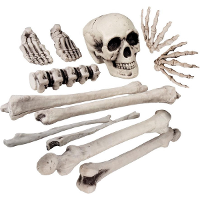 Halloween schedel en botten   12 delig   halloween   kerkhof   skelet   halloween decoratie set