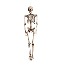 Halloween skelet   92 cm   hangend skelet   halloween decoratie   hangend   skelet