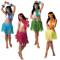 Hawaii thema verkleed kransen set   met rokje   Verkleedkleding setje   voor dames