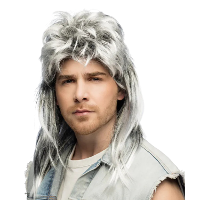 Heren pruik Davey   matje  grijs   verkleed pruiken   carnaval   foute party   80s look
