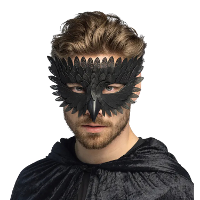 Oogmasker dier   Raaf   veren masker   zwart   carnaval   themafeest   verkleden