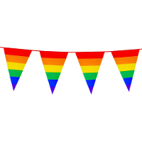 Boland PE vlaggenlijn   8m   Regenboog   Universeel Thema
