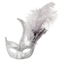 Verkleed gezichtsmasker Venitiaans   zilver   luxe   volwassenen   Carnaval/gemaskerd bal