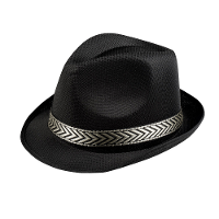 Verkleed hoedje Funky gleufhoed met band   zwart   volwassenen   Carnaval/Pimp/Gangster/Fun
