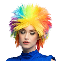 Verkleed Pruik regenboog   punk   pride   verkleden   carnaval   cosplay
