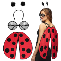 Verkleed set lieveheersbeestje   vleugels/diadeem/bril   rood   dames   Carnavalskleding