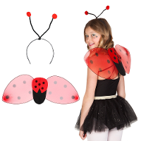 Verkleed set lieveheersbeestje   vleugels/diadeem   rood   kinderen   Carnavalskleding