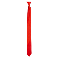 Verkleed stropdas   rood   50 cm   breed 6 cm   Voor volwassenen   Carnaval