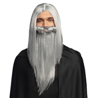 Verkleedpruik met baard heren   grijs   Middeleeuwen/Tovenaar   Carnaval   lang haar